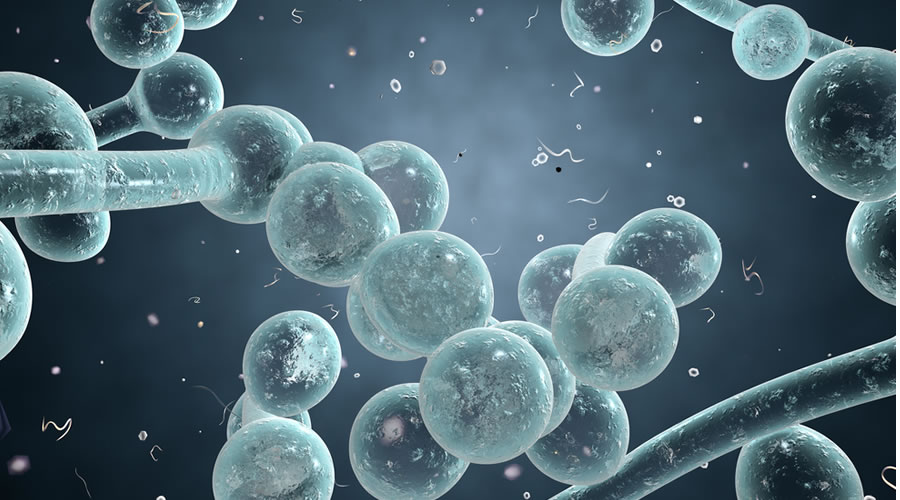 Candidiasis y relación con los dientes